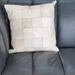 Cushion