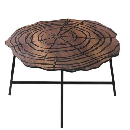 Contemporary Coffee Table for Home Decor